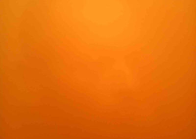 autoportrait orange - (2) 2004